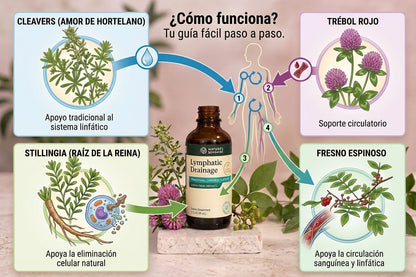 Drenaje Linfático (Nature's Sunshine)